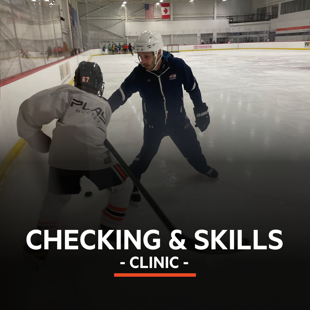 Checking & Skills.png